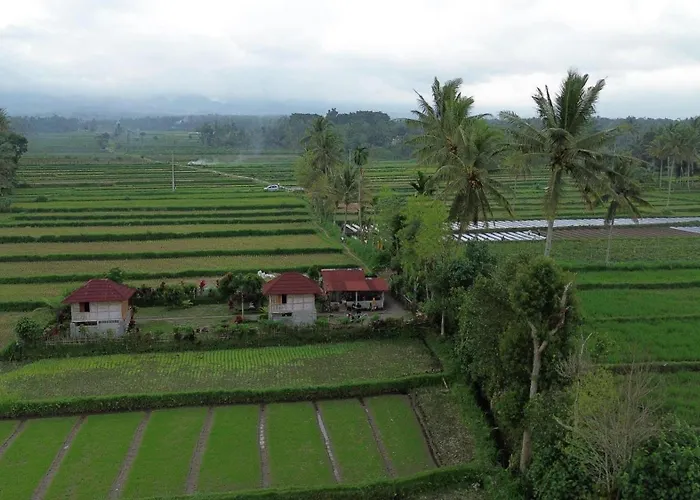 New Rinjani Homestay