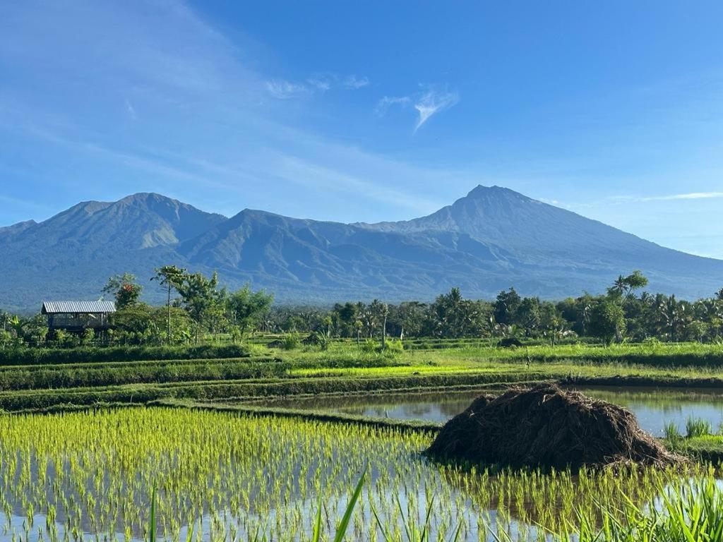 Privatunterkunft New Rinjani Tetebatu