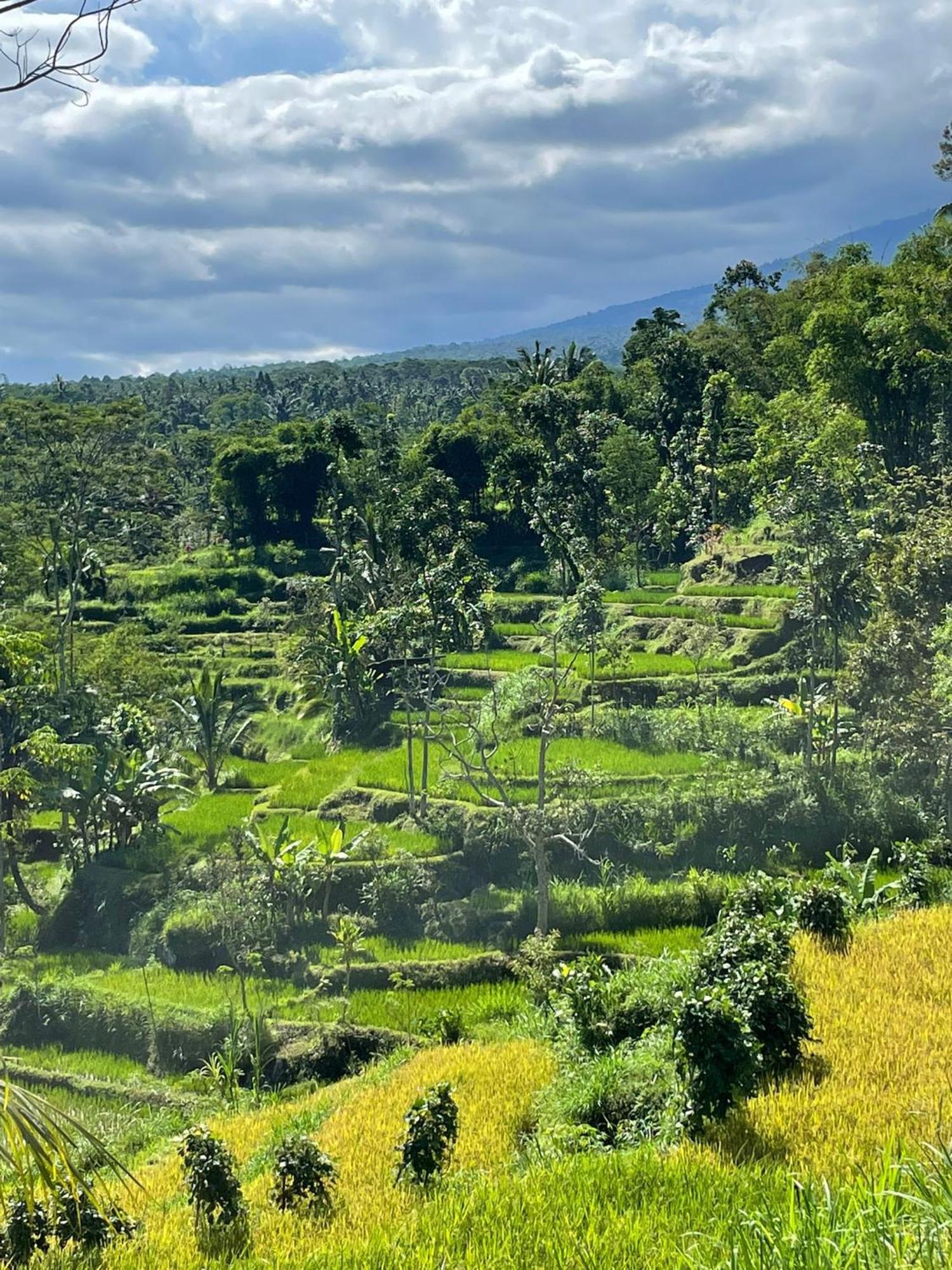 New Rinjani