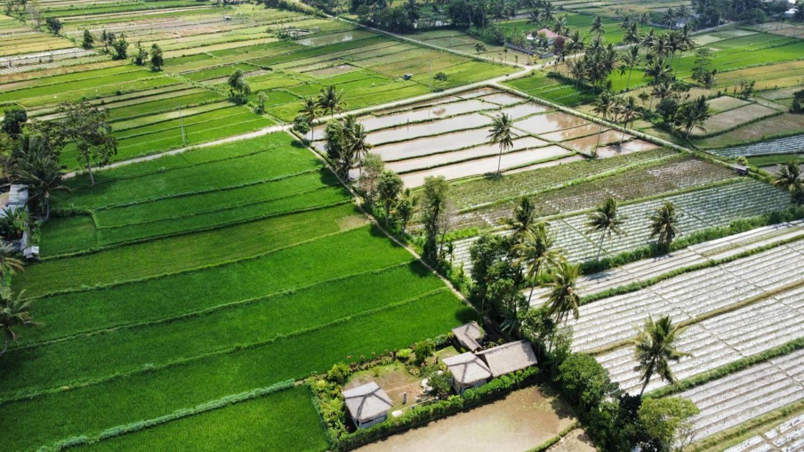 New Rinjani * Tetebatu