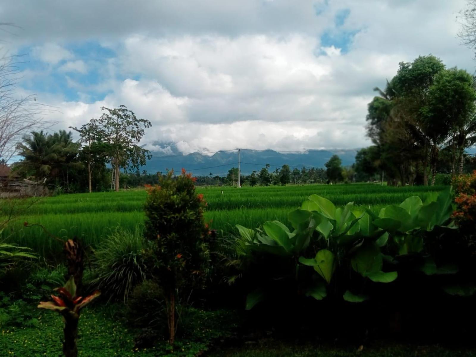 New Rinjani *