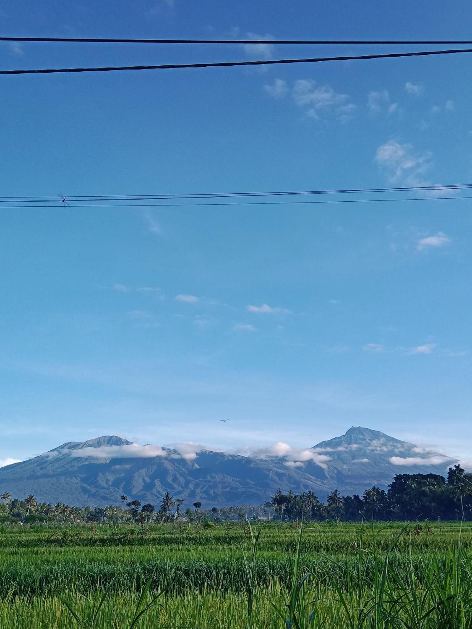 New Rinjani Tetebatu